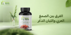 ما الفرق بين الصمغ العربي واللبان الذكر؟